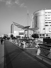 海棠公司注册